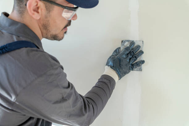  Linntown, PA Mold Removal Pros